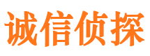 解放市私家侦探